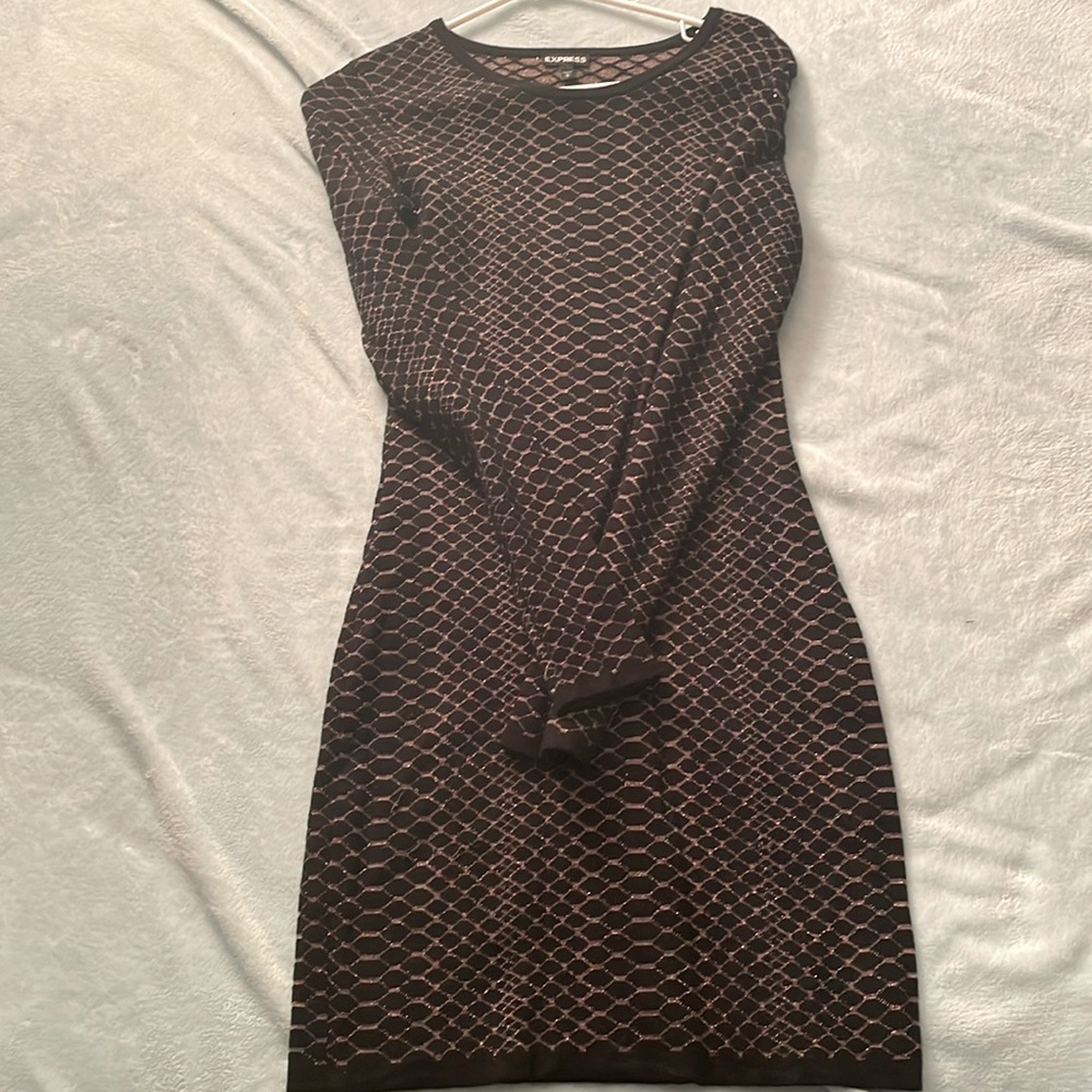 Express Sweater Dress